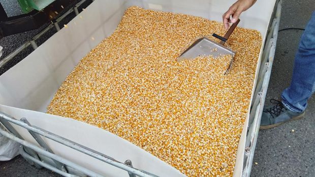 Charoen Pokphand Mau Kembangkan Alat Pengering Jagung Berteknologi AI