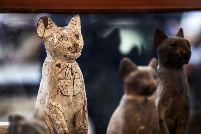 Mumi anak singa dan kucing dari era Mesir Kuno. (Khaled Desouki/AFP Photo)