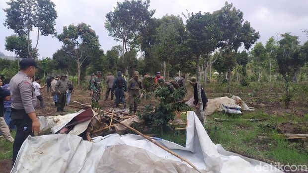 150 Hektare Lahan Cagar Alam Kamojang Beralih Fungsi Jadi Kebun