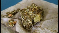 Nasi bungkus dengan tampilan tak menggugah selera ini, merupakan makanan yang dikemas dengan daging, sayuran, roti, hingga nasi yang dicampur bersamaan. Ini merupakan makanan standard yang disajikan di banyak penjara di Amerika. Foto: Patrick Semansky/AP Photo