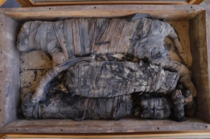 Salah satu mumi yang ditemukan. (Foto: Live Science) Salah satu mumi yang ditemukan. (Foto: Live Science)