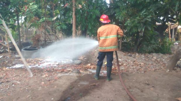 Begini Cara Damkar Sukoharjo Tangani Sarang Tawon Vespa