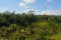 Tantangan Wishnutama untuk Kembangkan Pariwisata Bali Utara