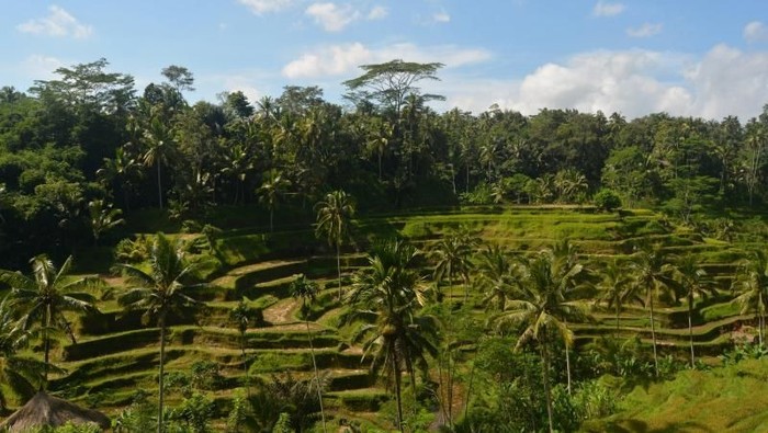 Ubud