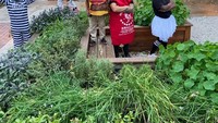 Begini keseruan pegawai Soul Kitchen saat rayakan Halloween di kebun mereka. Foto: Istimewa