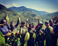 Usai Ikrar Setia NKRI, Eks Ajudan Goliat Tabuni Panen Jagung Bersama TNI
