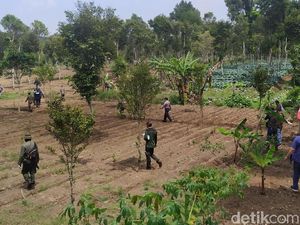 150 Hektare Lahan Cagar Alam Kamojang Beralih Fungsi Jadi Kebun