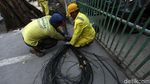 Kabel Semrawut di Kramat Raya Dibabat Habis
