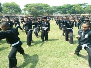 Profil Perguruan Silat PSHT: Sejarah, Silsilah hingga Tingkatan