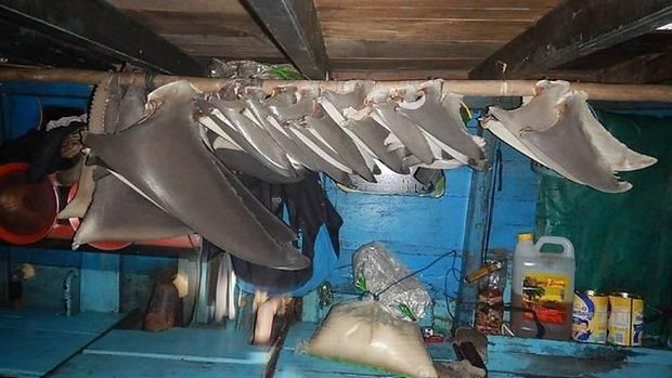 Kapal nelayan Indonesia ditangkap di perairan Darwin setelah kedapatan melakukan penangkapan ikan ilegal