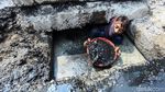 Aksi Pasukan Biru Kuras Gorong-gorong Glodok