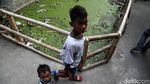 Potret Kampung Apung yang Terus Mengapung