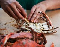 Waduh! Makan Seafood Sisa Semalam, Kakek di China Hampir Tewas