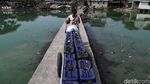 Potret Kampung Apung yang Terus Mengapung