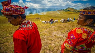 Melihat Peternakan Leluhur di Lembah Lore