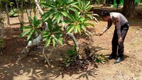 Polisi juga menunjukkan lokasi pembakaran sarang tawon.