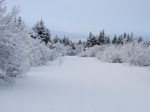 Ini Cara Liburan Hemat ke Islandia, Negeri Beku Bak Film Frozen II