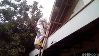 Penghuni rumah, Eka Laela, mengatakan sarang tawon itu muncul di atap rumahnya sekitar sebulan yang lalu. Beruntung tawon yang bersarang di ketinggian sekitar 8 meter itu tidak pernah menyerang warga.