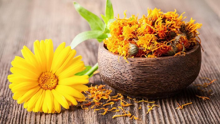 Foto: Dok. iStock Foto: Dok. iStock