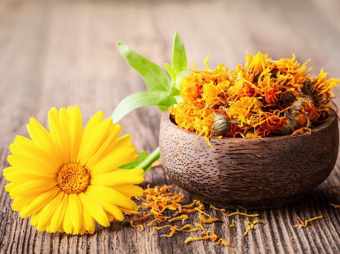 Manfaat bunga Marigold atau calendula. Foto: Dok. iStock Manfaat bunga Marigold atau calendula. Foto: Dok. iStock