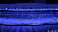 PIAMARI akuarium memiliki 4 wahana yang ditawarkan. Yang pertama adalah akuarium silinder atau schooling aquarium. Berbentuk tabung setinggi 7 meter dengan diameter 5 meter, akuarium ini akan diisi air laut dan dihuni oleh ikan-ikan kecil bergerombol. (Faizal Amiruddin/detikcom)