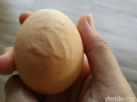 Telur Ayam di Blitar Ini Berlafaz Allah