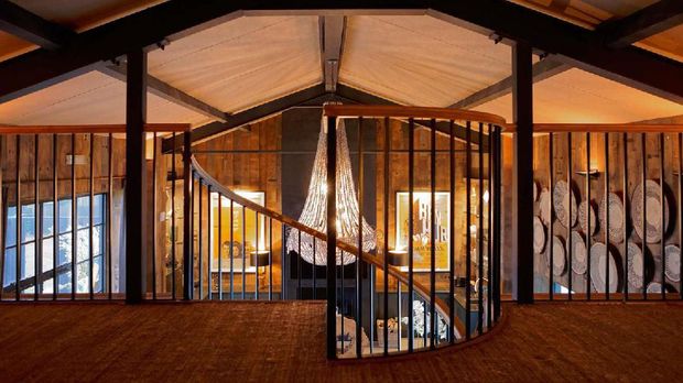 Hotel Ini Tawarkan Sensasi Tidur Bareng Singa & Macan
