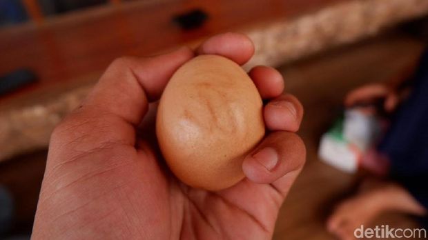 Sejak Temukan Telur Berlafaz Allah, Usaha Peternak Ayam Ini Semakin Maju