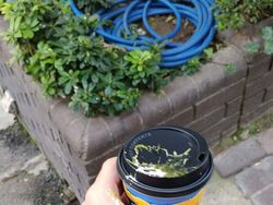 Merasa Sedang Sial? Lihat Dulu Potret Viral Berikut