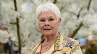 Berusia 84 tahun, Judi Dench masih aktif di dunia film dan yang terbaru adalah Cats. Jeff Spicer/Getty Images