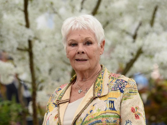 Judi Dench LONDON, ENGLAND - MAY 20: Dame Judi Dench attends the RHS Chelsea Flower Show 2019 press day at Chelsea Flower Show on May 20, 2019 in London, England. (Photo by Jeff Spicer/Getty Images)