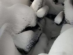 Merasa Sedang Sial? Lihat Dulu Potret Viral Berikut