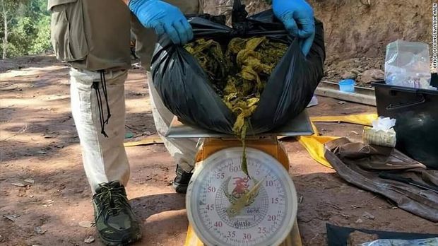 Sampah plastik 7 kg ditemukan di dalam perut rusa liar yang mati di Thailand