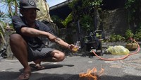 Sampah tersebut sulit didaur ulang karena prosesnya lama dan harga yang rendah di tingkat pengepul. Pencemaran sampah di darat pun tak kalah parahnya. Pulau Bali sendiri menghasilkan sekitar 1,6 juta ton sampah per tahun, sebanyak 20 persennya merupakan sampah plastik.