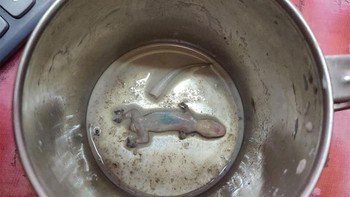 Ternyata ada sesuatu yang tak dikehendaki di cangkir. Foto: Bored Panda
