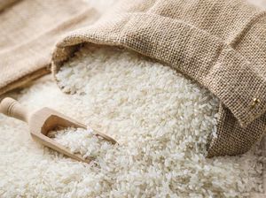 Bulog Bulukumba Serap 4.000 Ton Beras, Stok Aman hingga Akhir Tahun