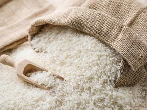Siap-siap Rek! Harga Beras Diramal Naik