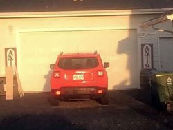 Merasa Sedang Sial? Lihat Dulu Potret Viral Berikut