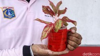 Melihat barang tak terpakai, petugas lantas merubahnya menjadi pot yang unik.