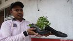 Keren! Limbah Ini Disulap Jadi Pot Bunga