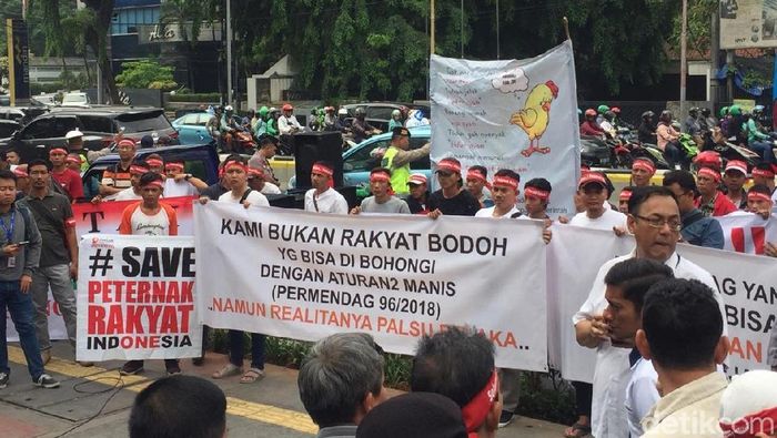 Foto: Vadhia Lidyana/detikcom