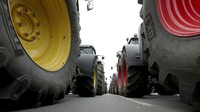 Keberadaan traktor di pusat Kota Berlin tersebut berkaitan dengan aksi protes para petani yang mengkritik kebijakan pertanian yang baru saja disepakati oleh Kabinet Kanselir Angela Merkel pada bulan September lalu. Michael Sohn/AP Photo.