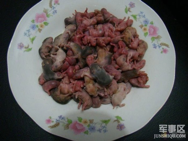 Jadi Kontroversi, Orang China Makan Ular hingga Bayi Tikus Hidup-hidup