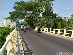 Teror Bangkai Unggas di Desa Wisata Janti, Petugas Turun Tangan