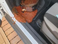 Merasa Sedang Sial? Lihat Dulu Potret Viral Berikut