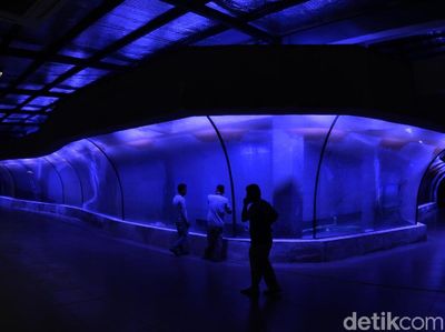 Yuk Intip Wujud Akuarium Raksasa Pangandaran