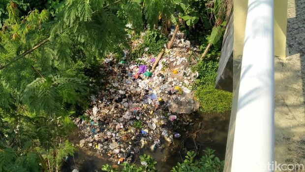 Teror Bangkai Unggas di Desa Wisata Janti, Petugas Turun Tangan