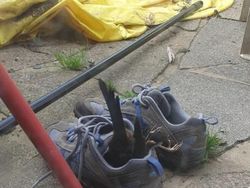 Merasa Sedang Sial? Lihat Dulu Potret Viral Berikut