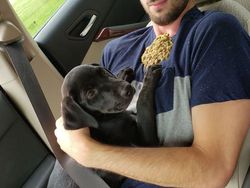 Merasa Sedang Sial? Lihat Dulu Potret Viral Berikut