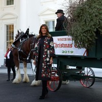 Sehari sebelumnya, Senin (25/11/2019), Melania Trump sempat menghadiri acara penyambutan pohon Natal di Gedung Putih. Pada kesempatan tersebut, coat hitam berhiaskan motif floral dari Dolce & Gabbana menjadi andalannya. (Foto: Getty Images)